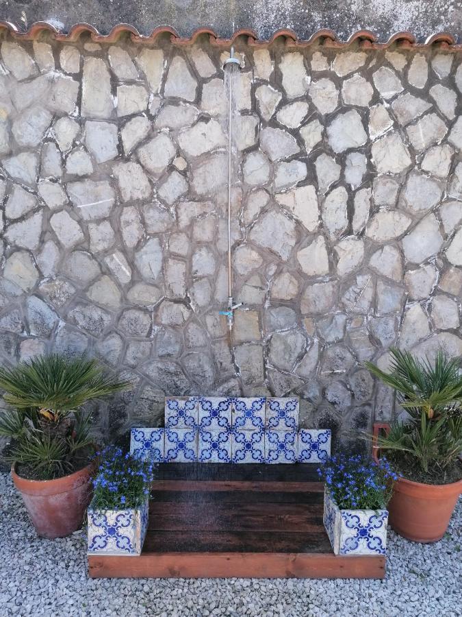 סורנטו B&B Villa Teresa מראה חיצוני תמונה